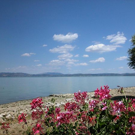 Hotel Aganoor Castiglione del Lago Exterior photo