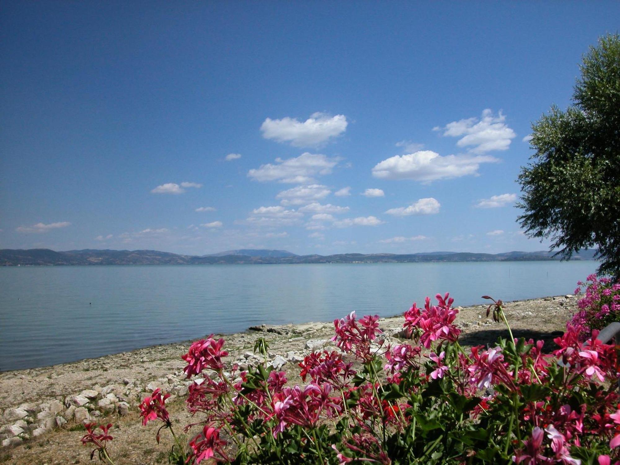 Hotel Aganoor Castiglione del Lago Exterior photo