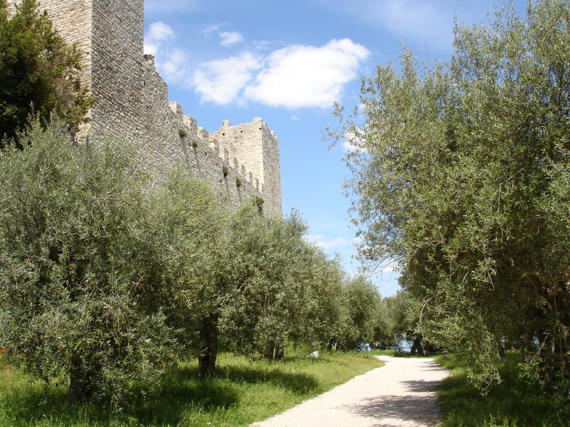Hotel Aganoor Castiglione del Lago Exterior photo